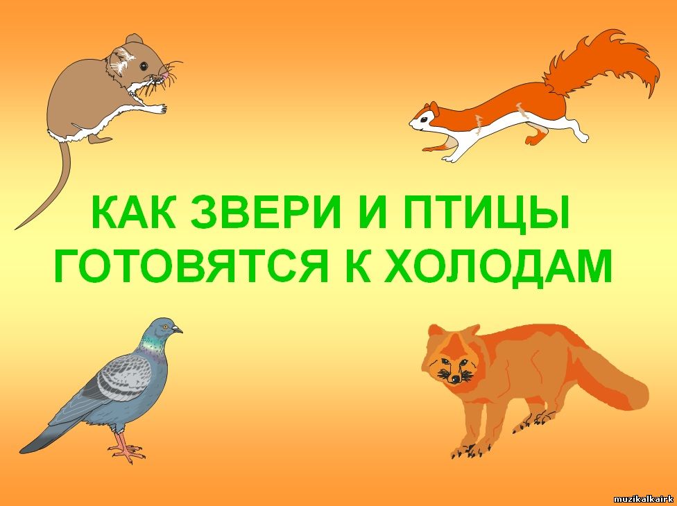 http://muzikalkairk.ucoz.ru/_tbkp/04/givotnye_i_xoloda.jpg